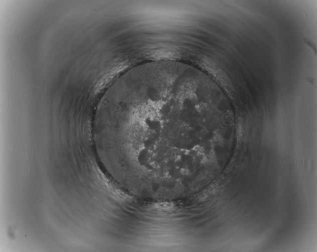 X0000102220353200808011208