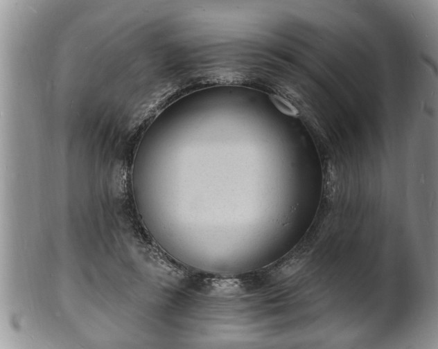 X0000102220355200808011208