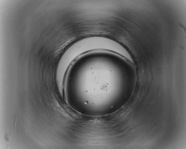 X0000102220356200808011208