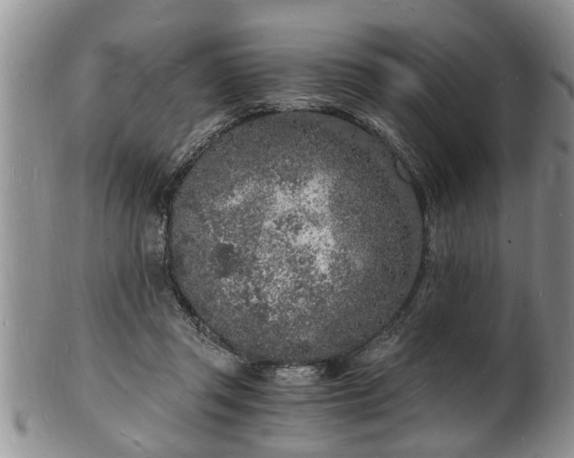 X0000102220357200808011208