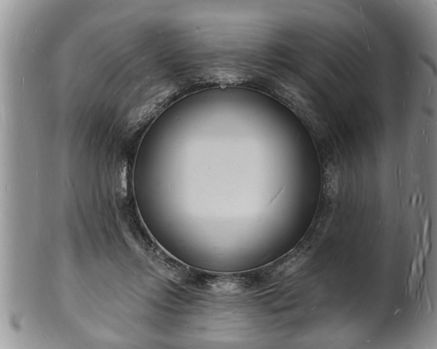 X0000102220358200808011208