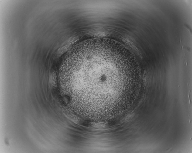 X0000102220359200808011208