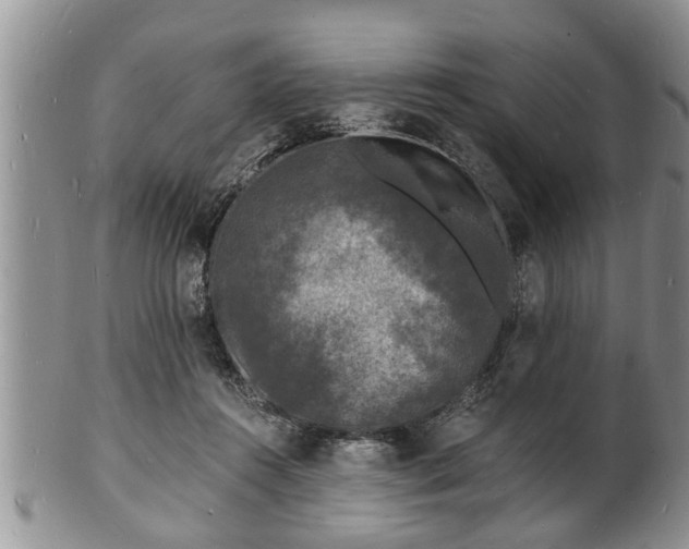 X0000102220360200808011208