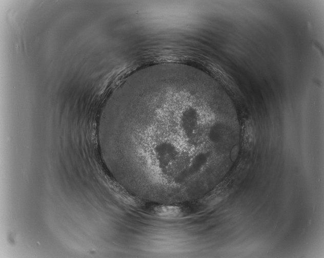 X0000102220361200808011208