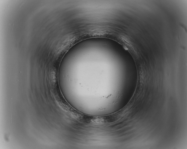 X0000102220362200808011208