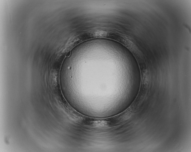 X0000102220363200808011208