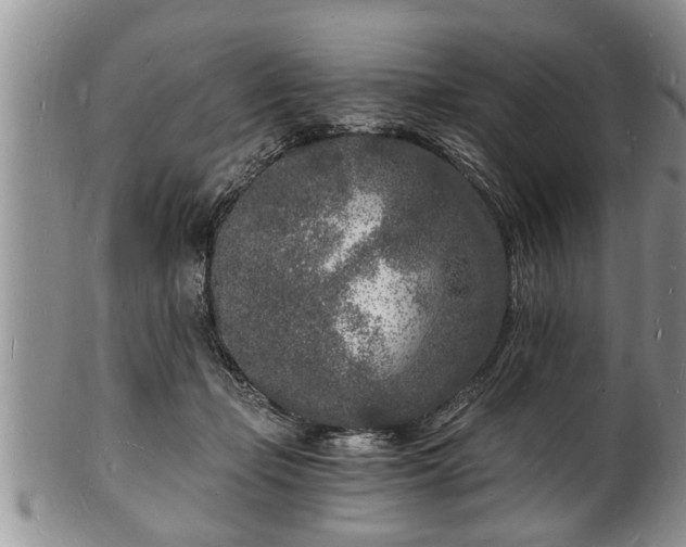 X0000102220365200808011208