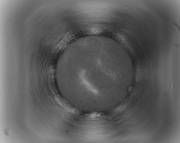 X0000102220366200808011208