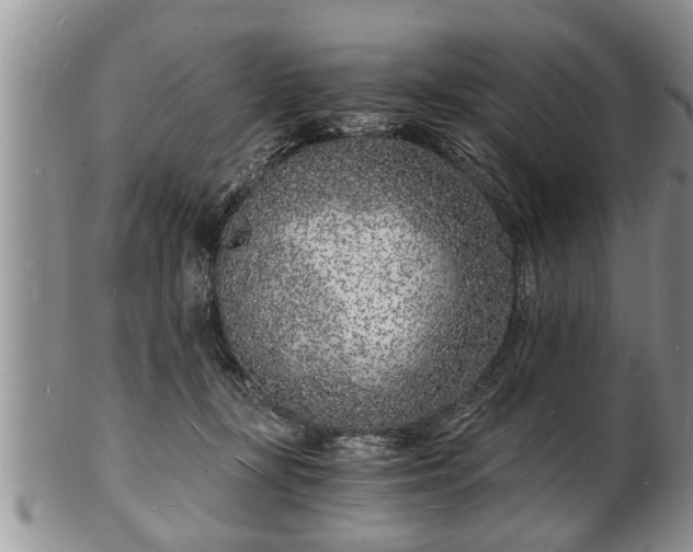 X0000102220367200808011208