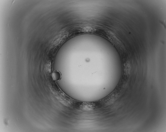 X0000102220368200808011208