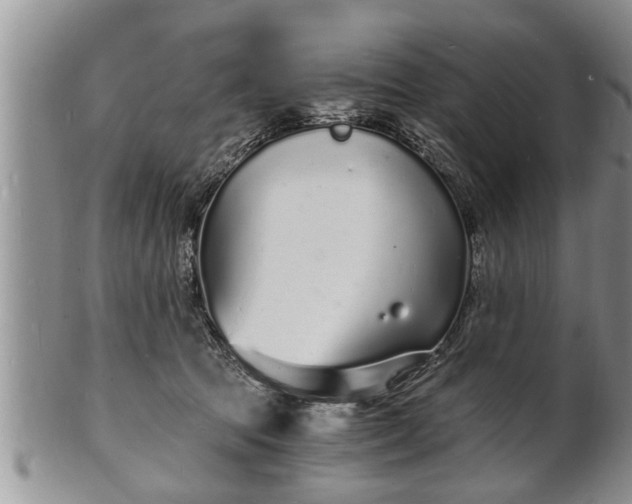 X0000102220369200808011208