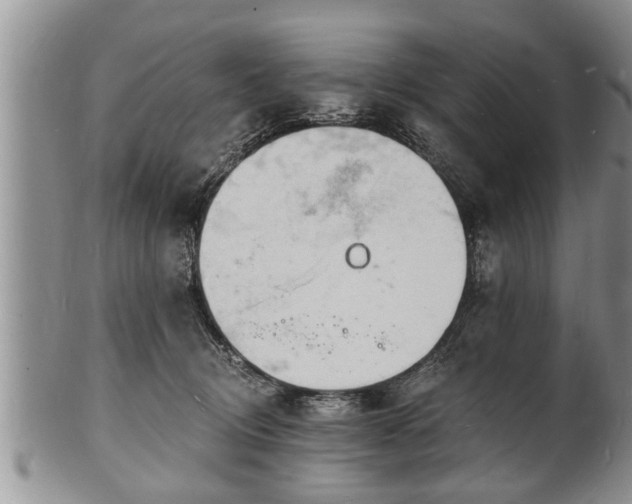 X0000102220370200808011208