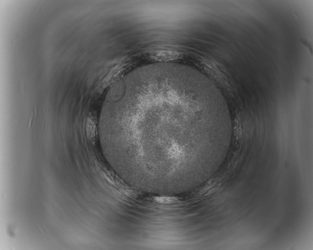 X0000102220371200808011208