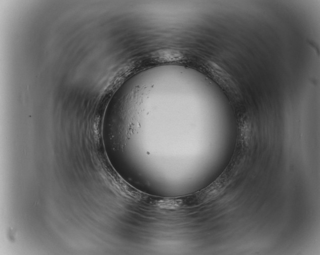 X0000102220373200808011208