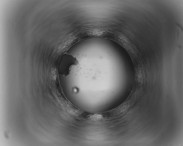 X0000102220374200808011208