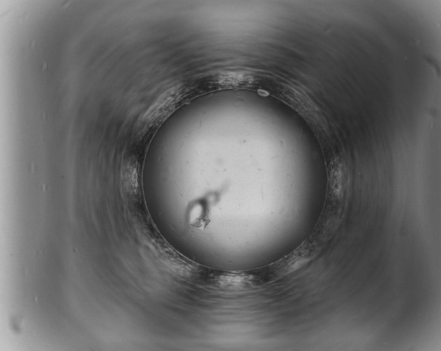 X0000102220375200808011208