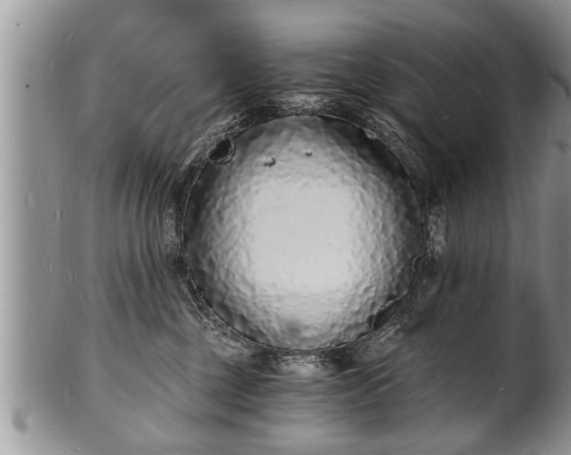 X0000102220377200808011208