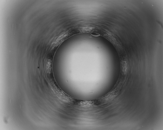 X0000102220378200808011208