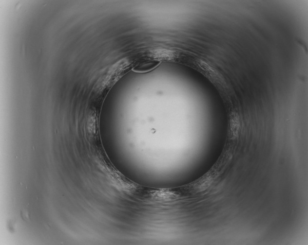 X0000102220379200808011208