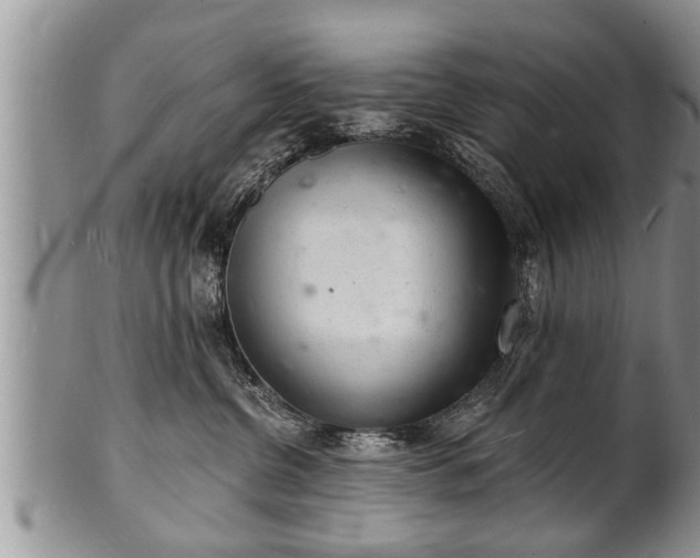 X0000102220380200808011208