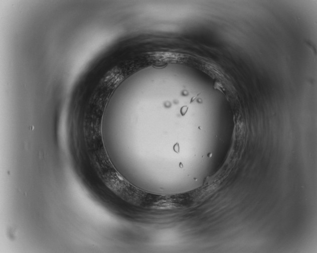 X0000102220381200808011208