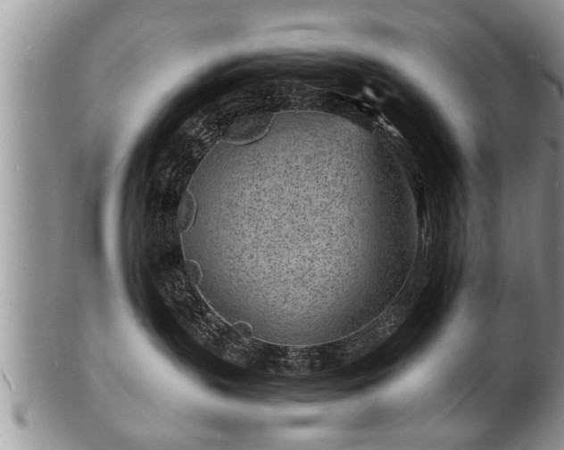 X0000102220383200808011208