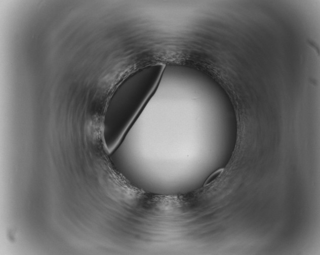 X0000102220384200808011208