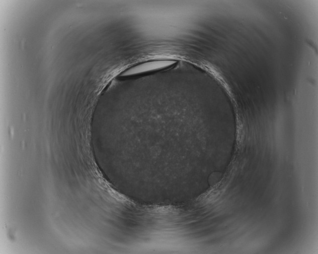 X0000102220385200808011207