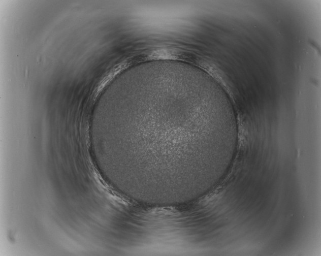 X0000102220386200808011207