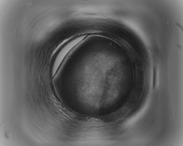 X0000102220387200808011207