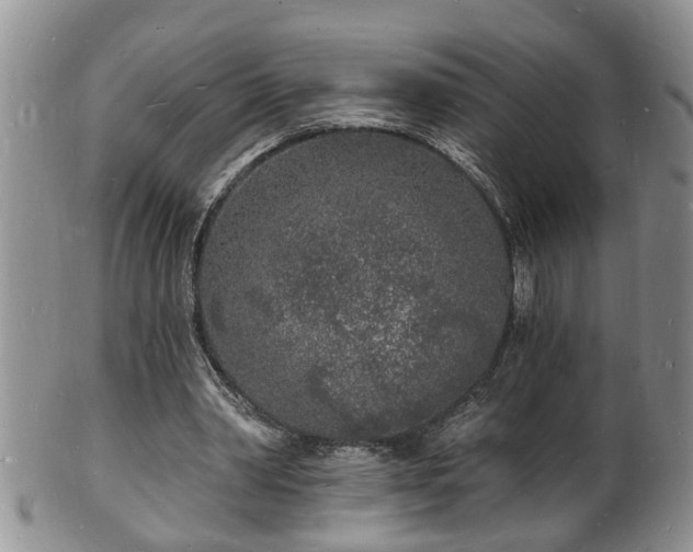 X0000102220390200808011207