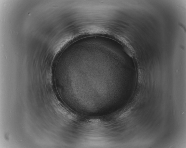 X0000102220391200808011207