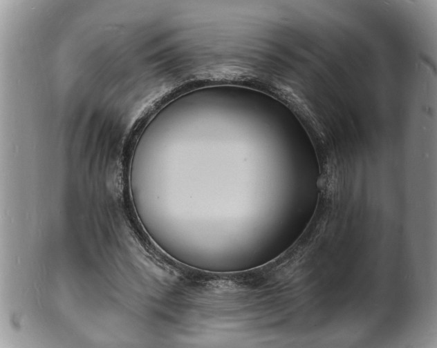 X0000102220392200808011207