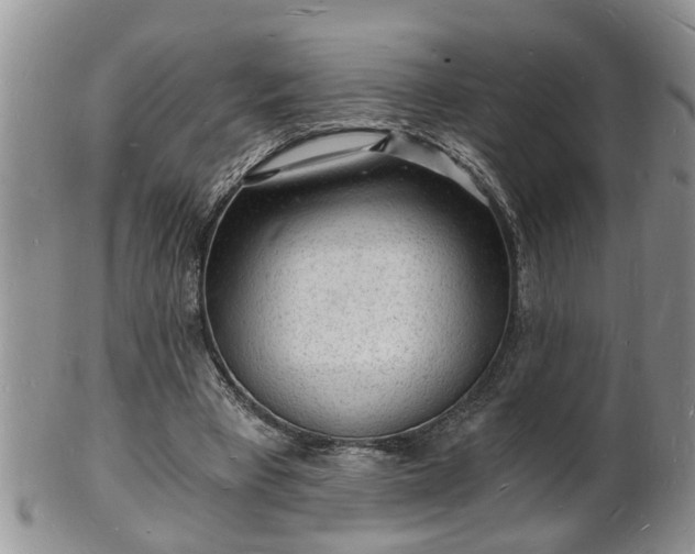 X0000102220393200808011207