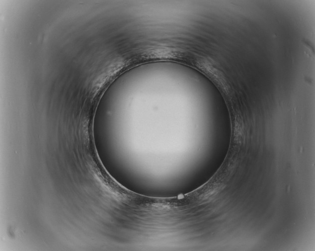 X0000102220394200808011207