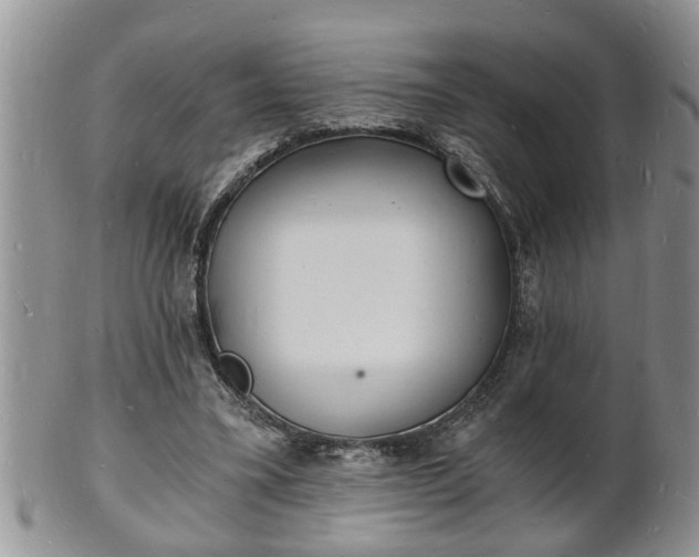 X0000102220395200808011207