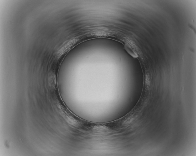 X0000102220397200808011207