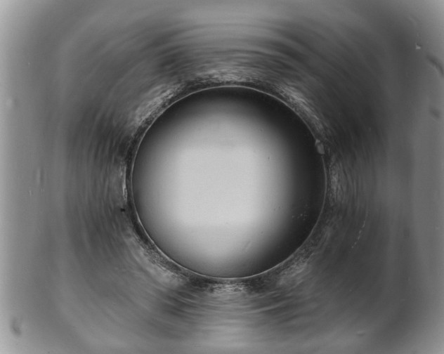 X0000102220398200808011207