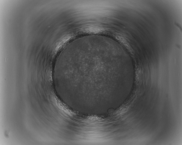 X0000102220399200808011207