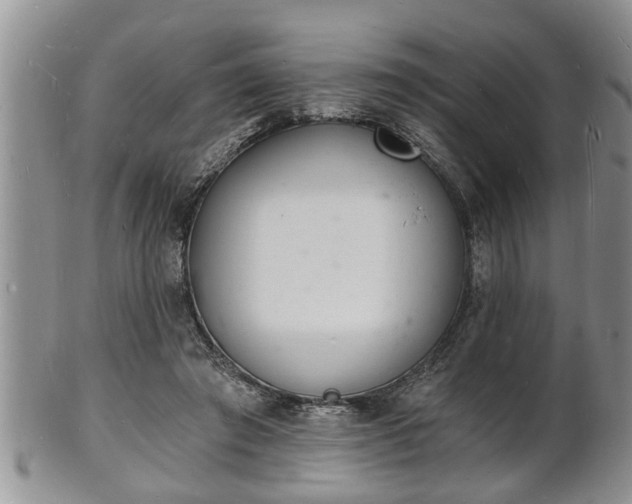 X0000102220401200808011207