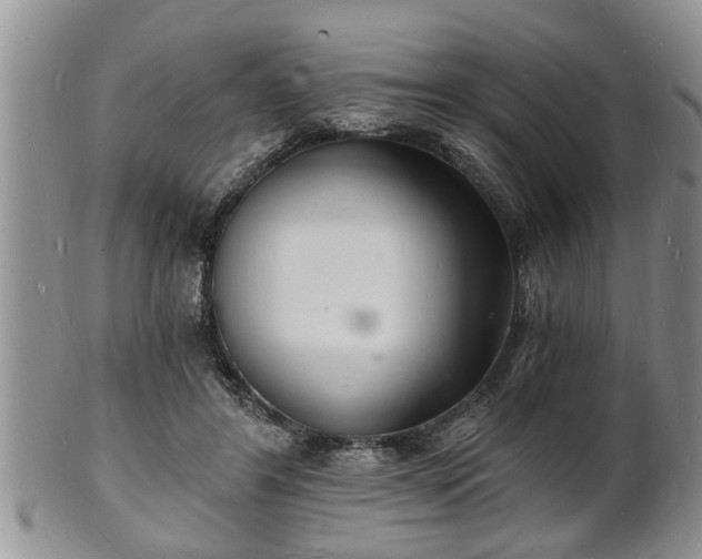 X0000102220404200808011207