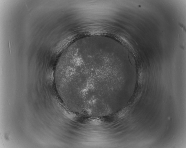 X0000102220405200808011207