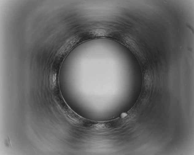 X0000102220406200808011207