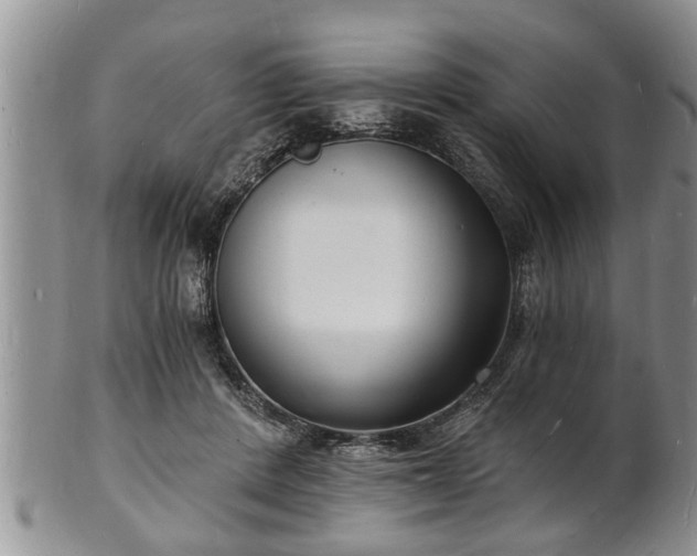 X0000102220408200808011207