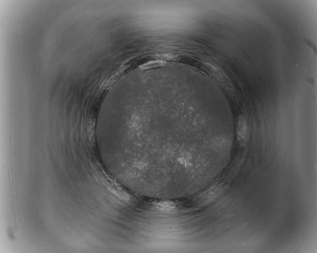 X0000102220409200808011207