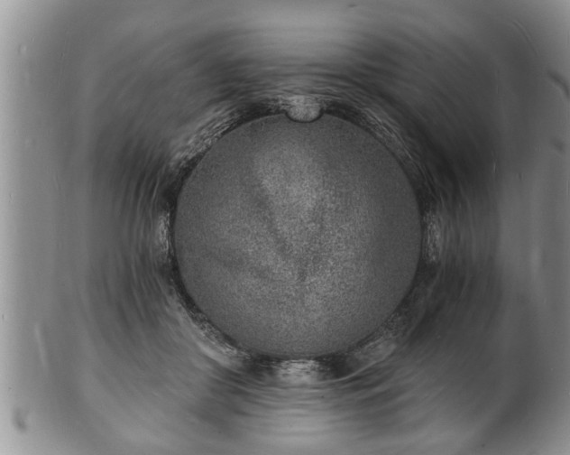 X0000102220410200808011207