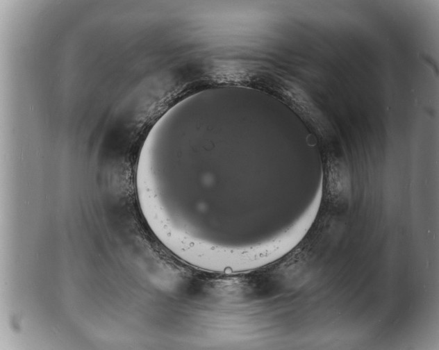 X0000102220411200808011207