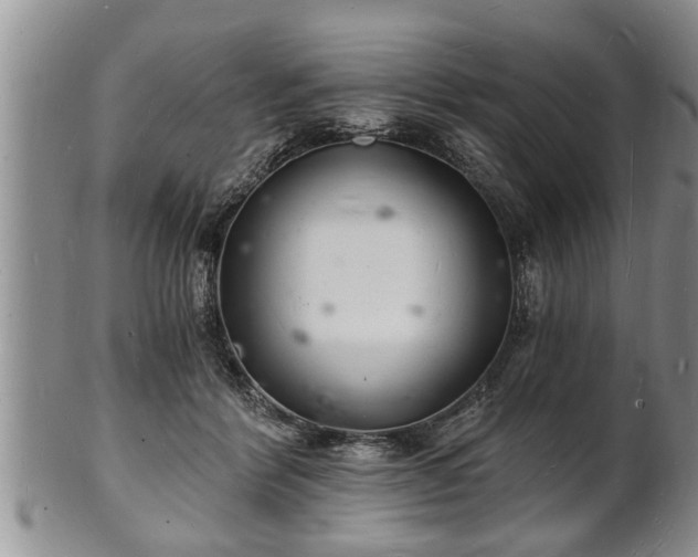 X0000102220412200808011207