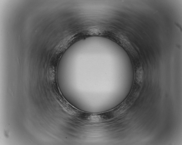 X0000102220413200808011207