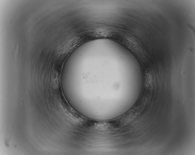 X0000102220414200808011207